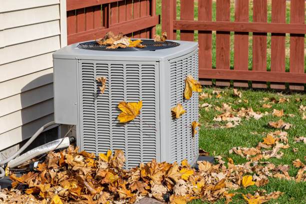Best HVAC tune-up services  in Young Harris, GA